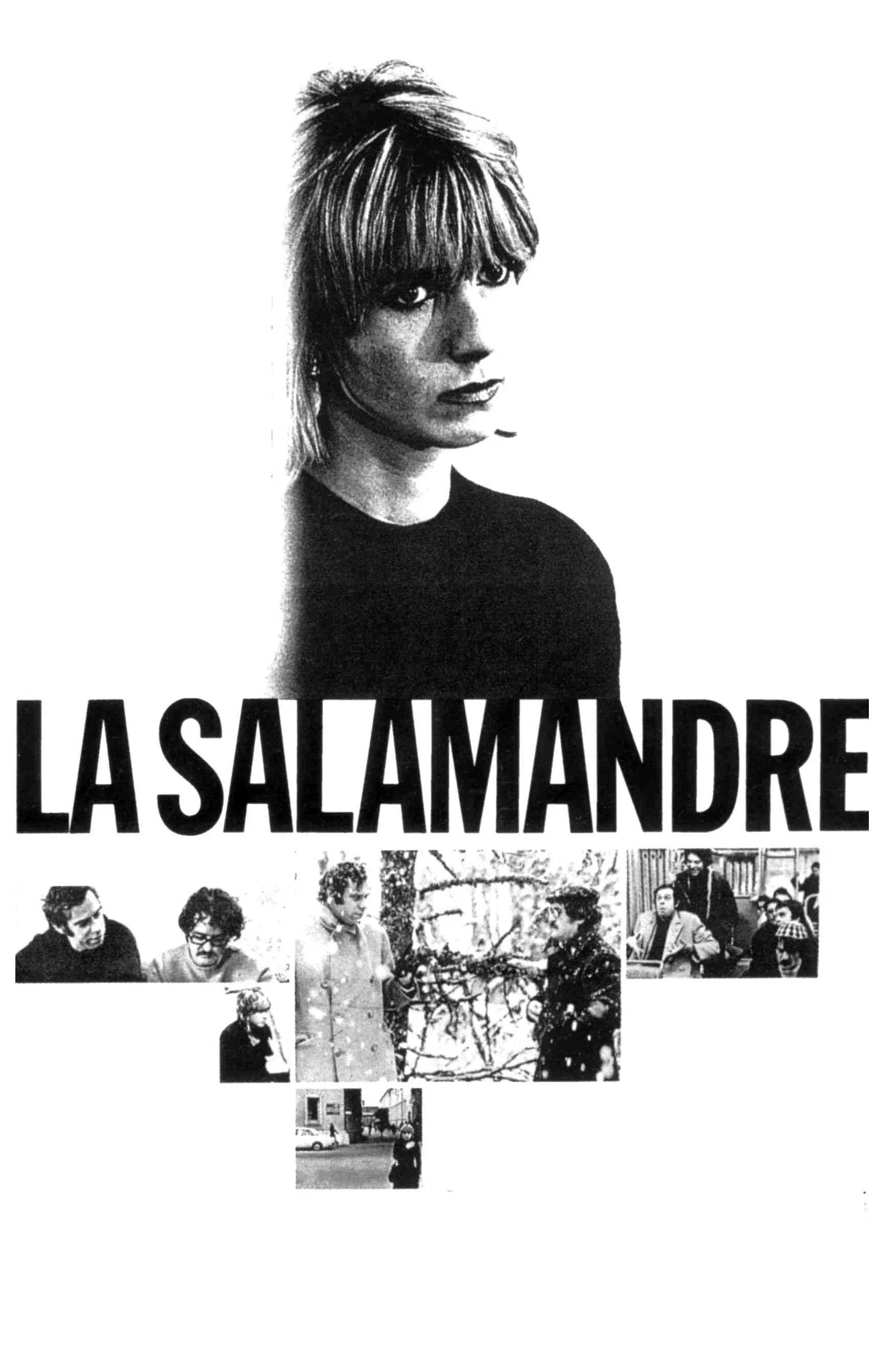 Poster for La Salamandre