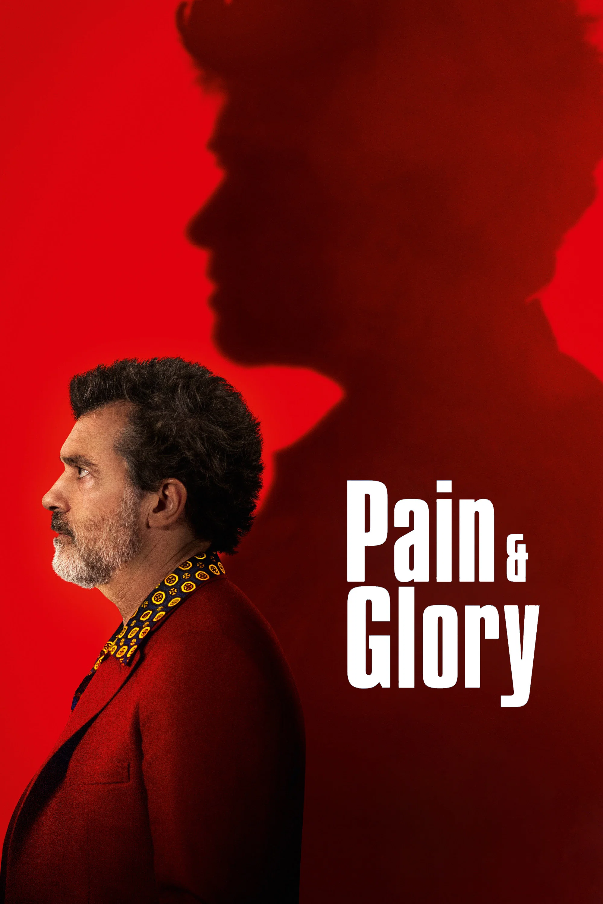 Poster for Dolor y gloria