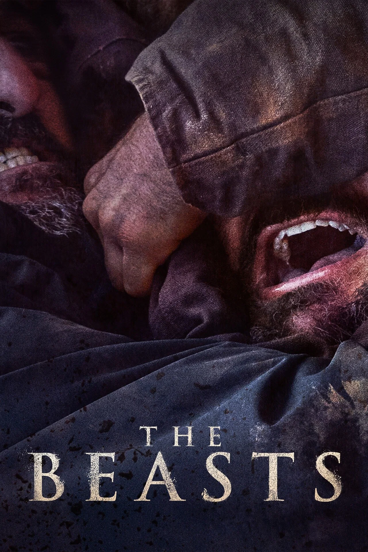 Poster for As bestas