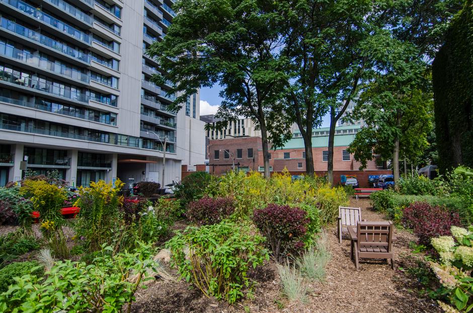 Garden - Location image