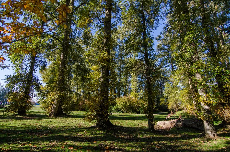 Kara's Crash Site - Location image