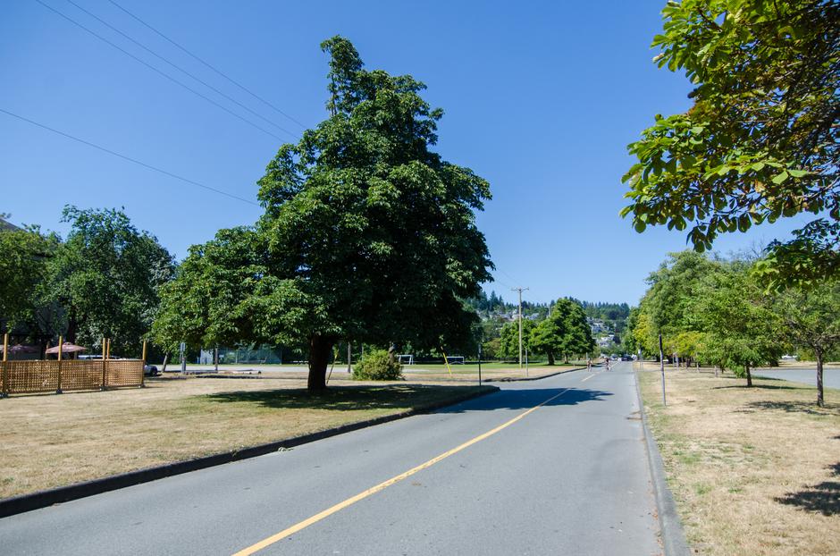 Driving to Lunch - Location image