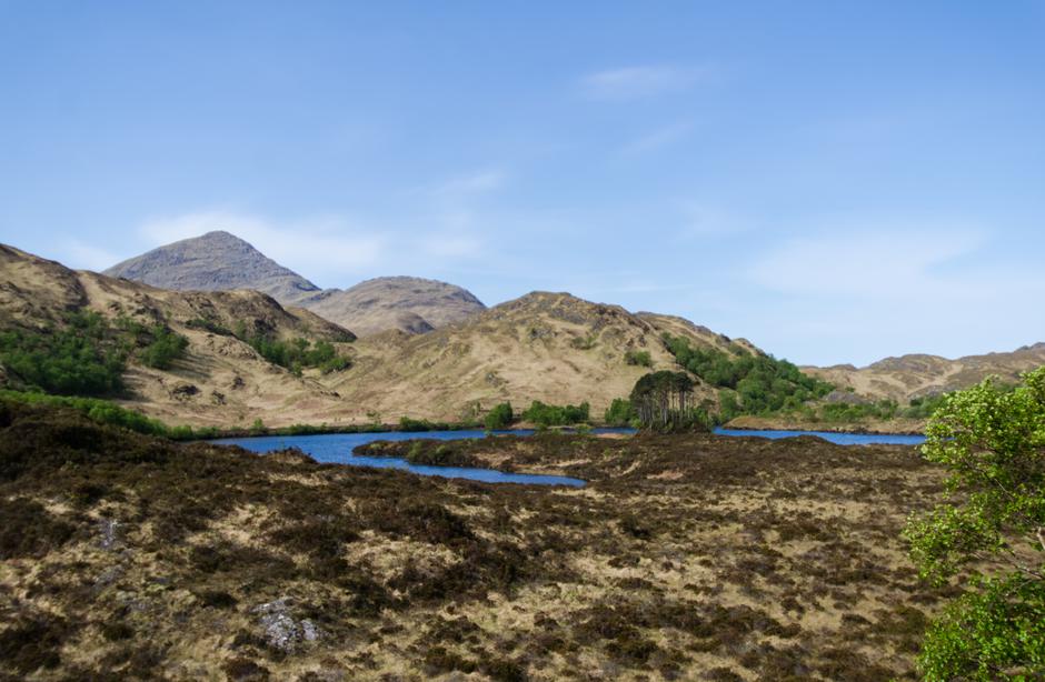 Lakeside Woods (towards lake) - Location image