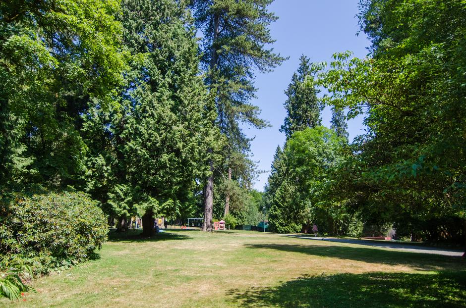 Stanley Park - Location image