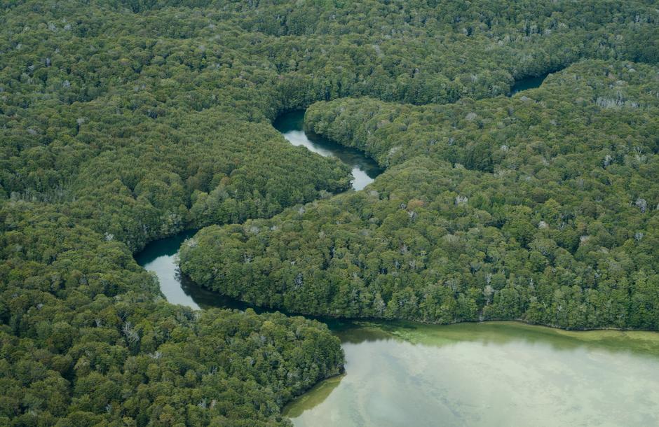 Silverlode River near Lothlórien - Location image