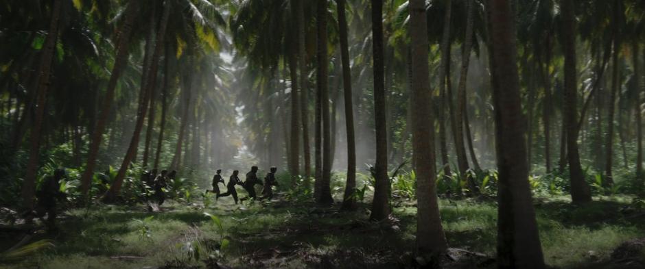 Rogue One: A Star Wars Story - Image 4