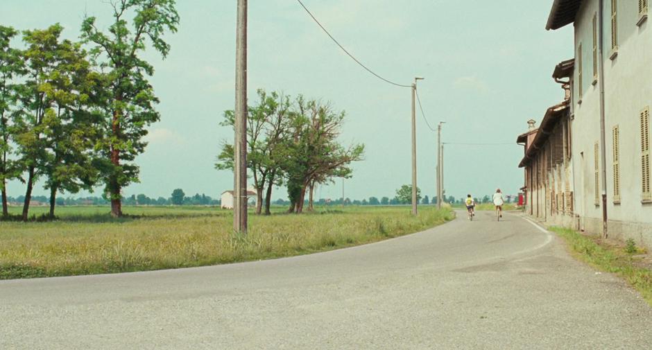Call Me by Your Name - Image 6