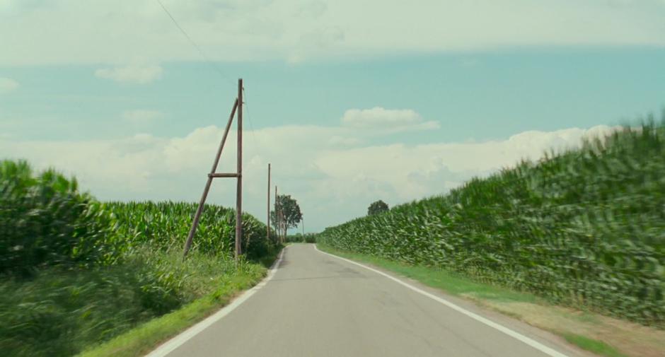 Call Me by Your Name - Image 4