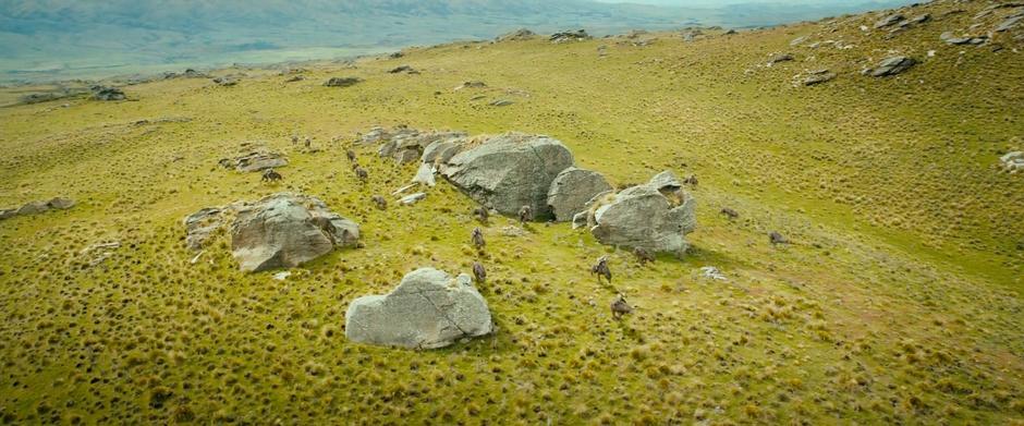 The Hobbit: An Unexpected Journey - Image 8