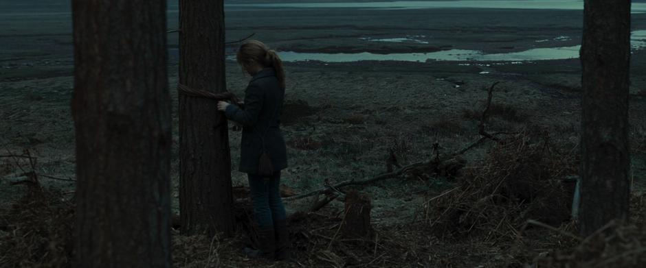 Harry Potter and the Deathly Hallows: Part 1 - Image 8