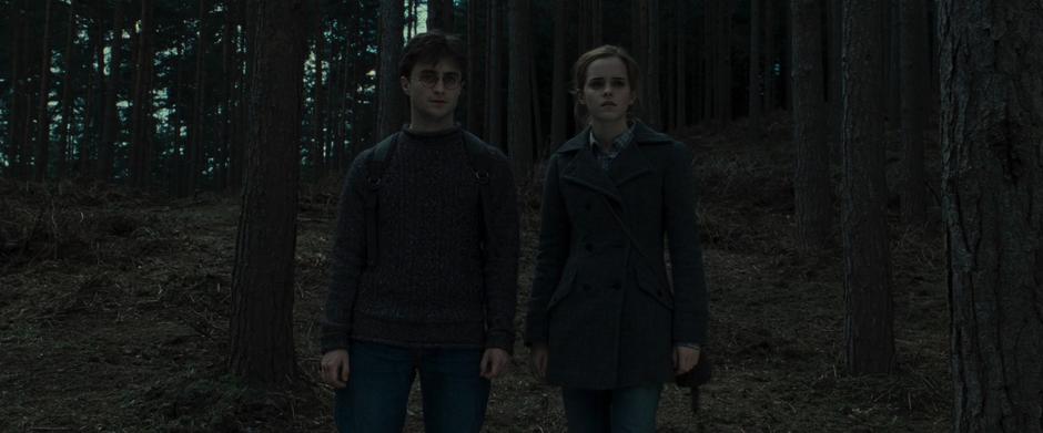 Harry Potter and the Deathly Hallows: Part 1 - Image 9
