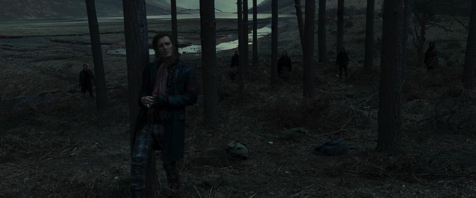 Harry Potter and the Deathly Hallows: Part 1 - Image 10