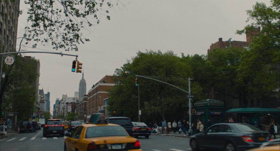 Lady Bird - Image 3