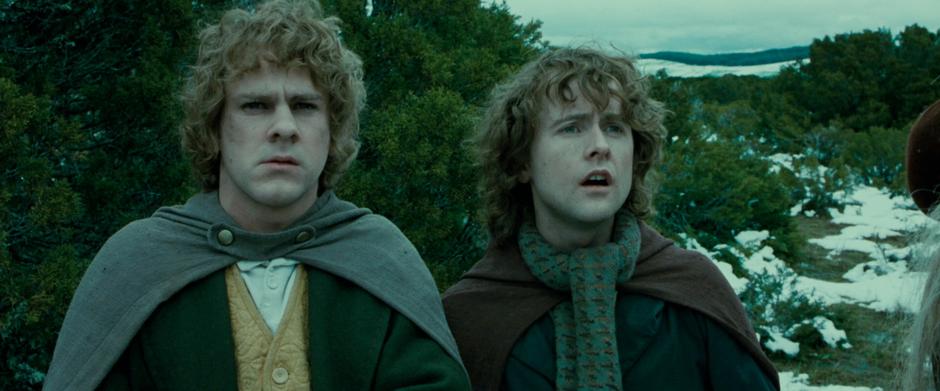 The Lord of the Rings: The Fellowship of the Ring - Image 4