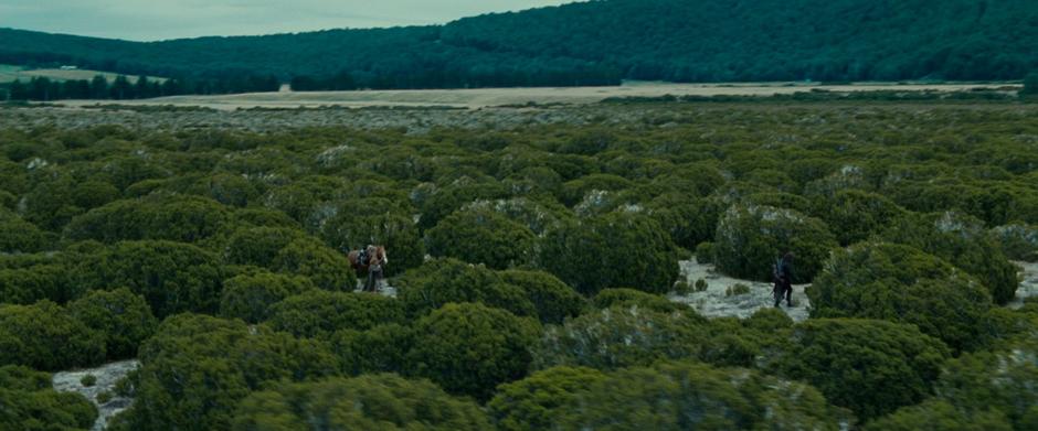 The Lord of the Rings: The Fellowship of the Ring - Image 5