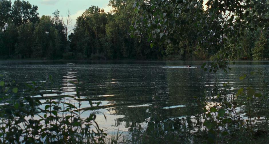 Call Me by Your Name - Image 5