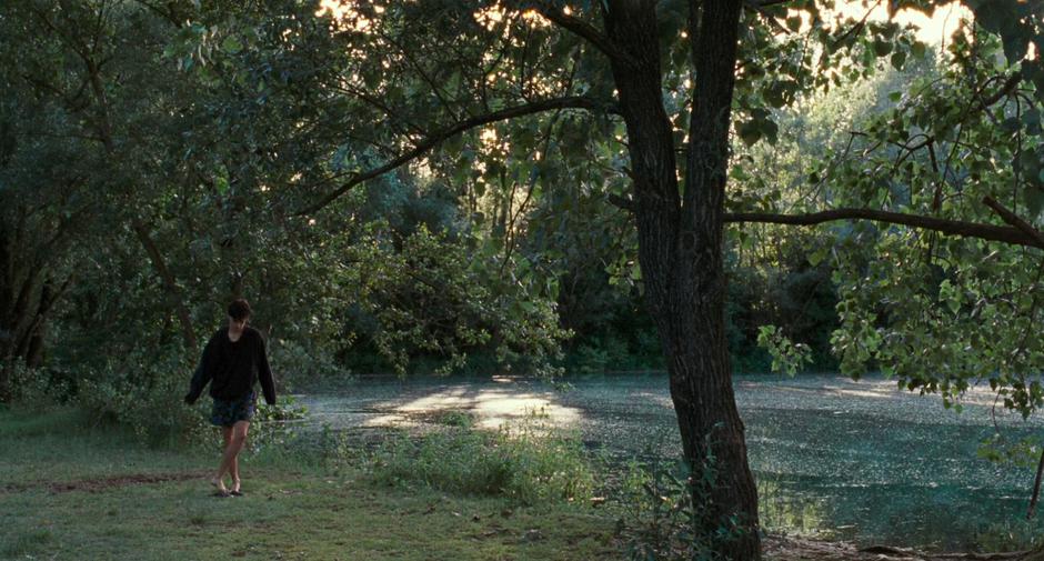 Call Me by Your Name - Image 6