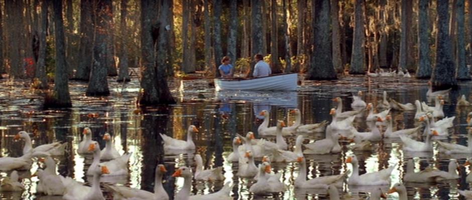 The Notebook - Image 4