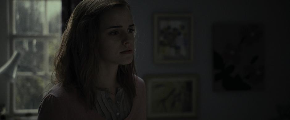 Harry Potter and the Deathly Hallows: Part 1 - Image 4