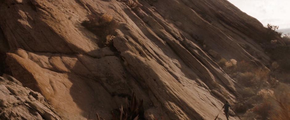 Star Trek - Image 3