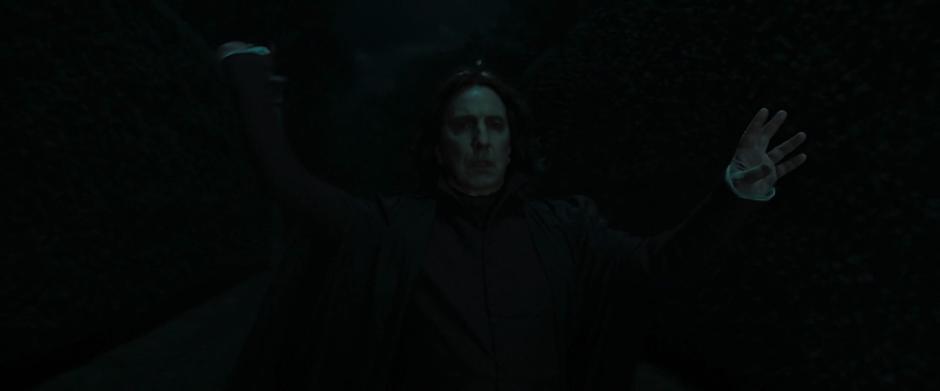 Harry Potter and the Deathly Hallows: Part 1 - Image 4