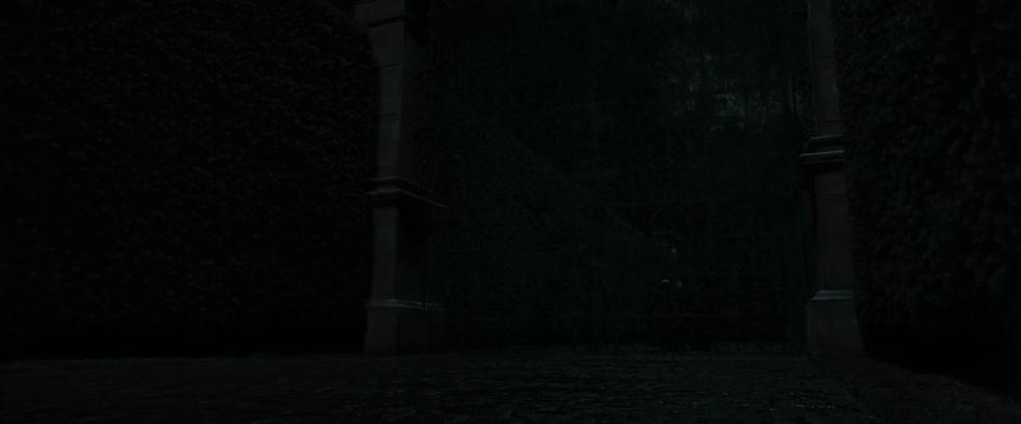Harry Potter and the Deathly Hallows: Part 1 - Image 5