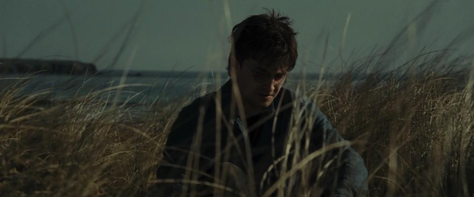 Harry Potter and the Deathly Hallows: Part 1 - Image 8