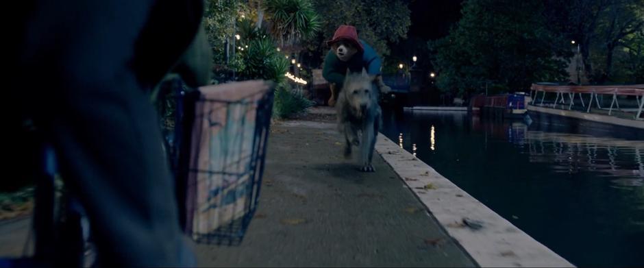 Paddington 2 - Image 3