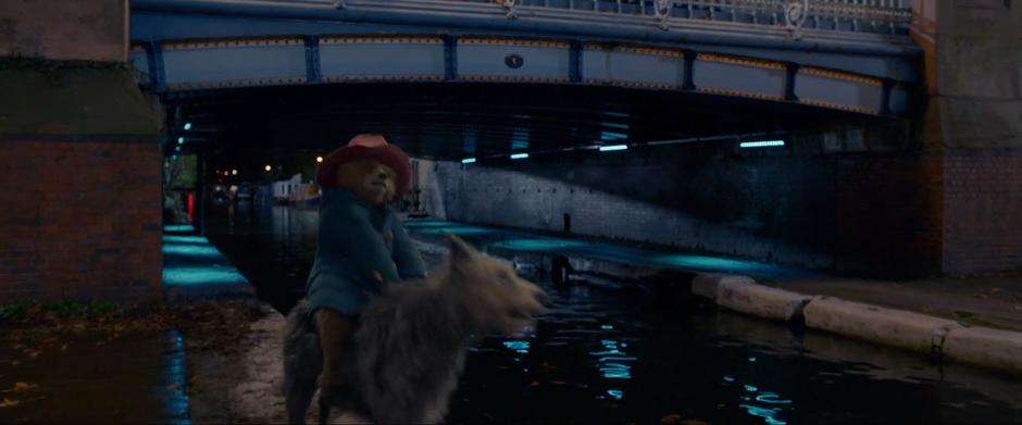 Paddington 2 - Image 5