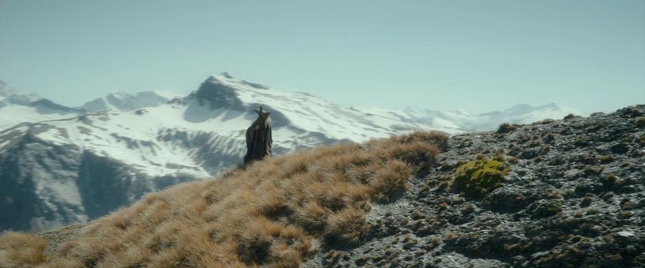 The Hobbit: The Desolation of Smaug - Image 4