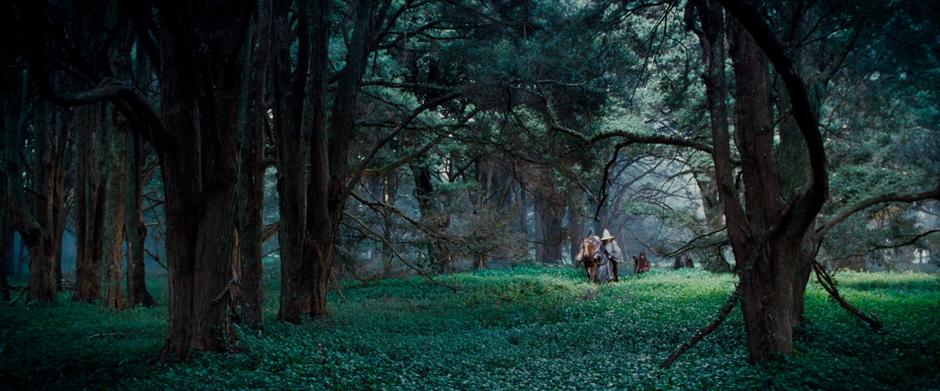 The Lord of the Rings: The Fellowship of the Ring - Image 3