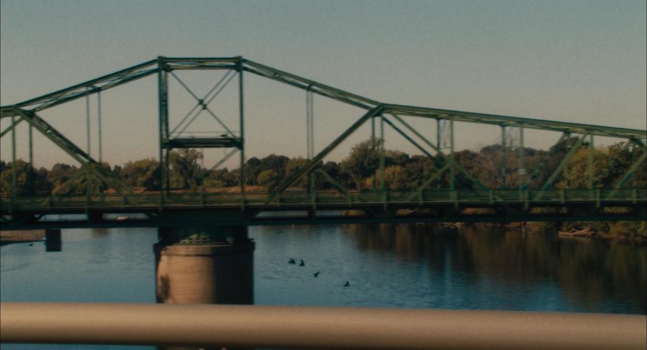Lady Bird - Image 4