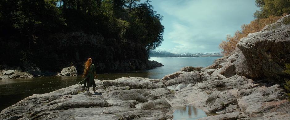 The Hobbit: The Desolation of Smaug - Image 3