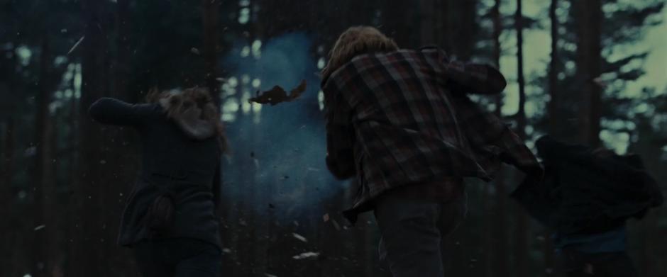 Harry Potter and the Deathly Hallows: Part 1 - Image 3