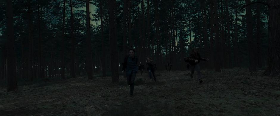 Harry Potter and the Deathly Hallows: Part 1 - Image 4