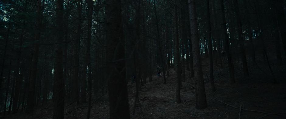 Harry Potter and the Deathly Hallows: Part 1 - Image 5
