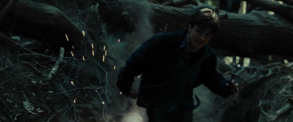Harry Potter and the Deathly Hallows: Part 1 - Image 6