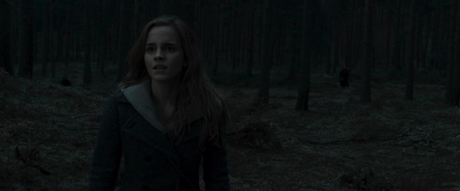 Harry Potter and the Deathly Hallows: Part 1 - Image 7