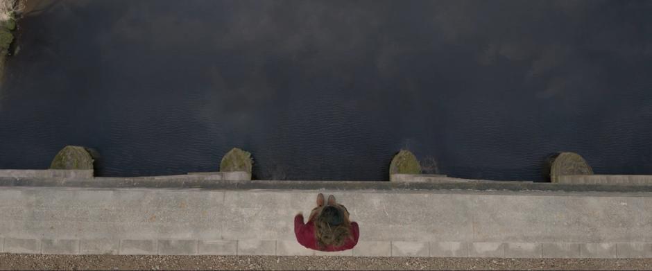 Paddington 2 - Image 6