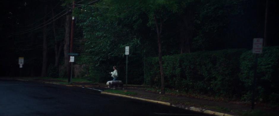 Labyrinth - Image 3