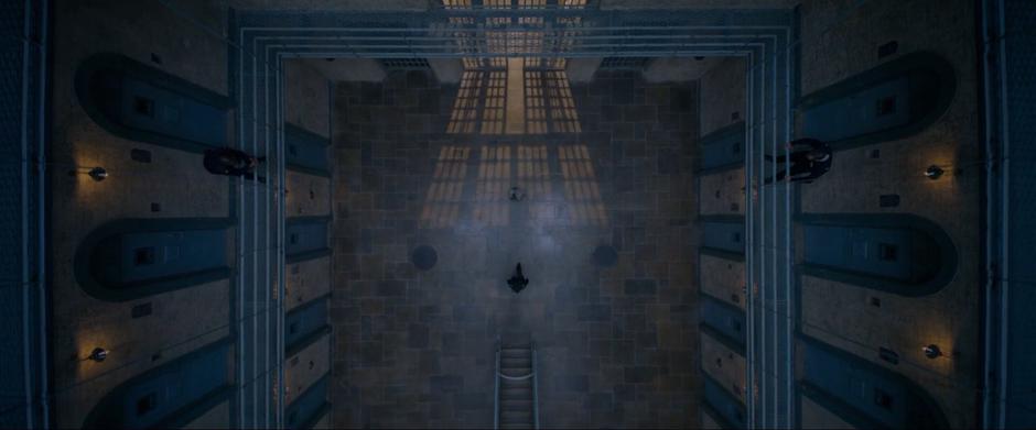 Paddington 2 - Image 5