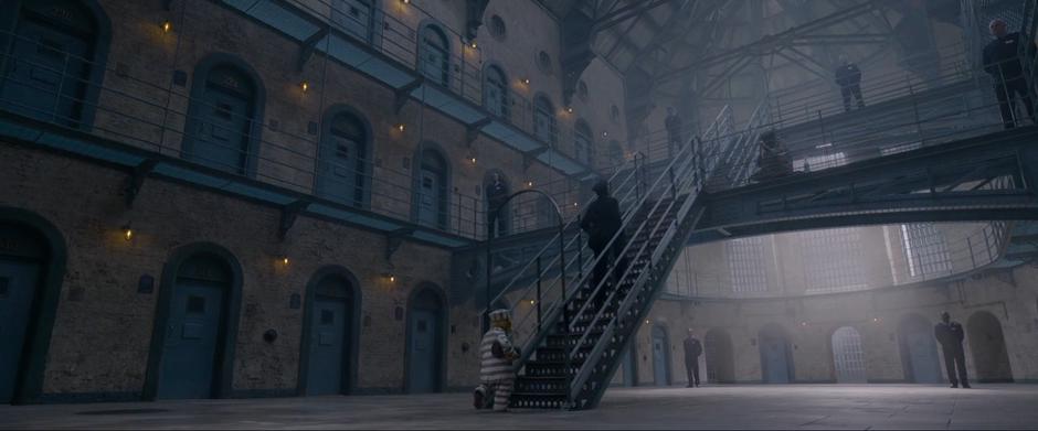 Paddington 2 - Image 6