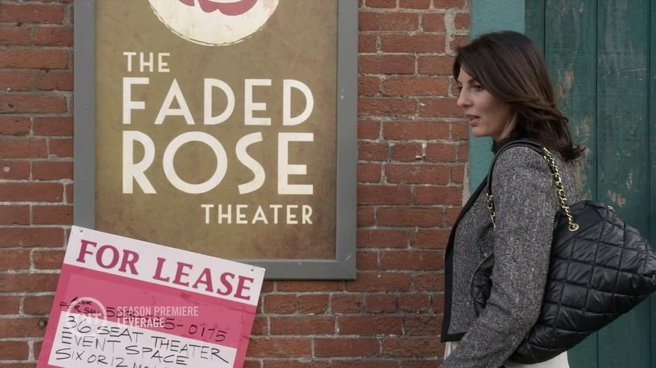 Leverage - Image 3