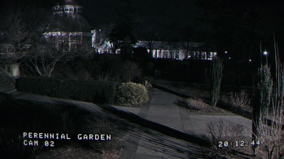 Person of Interest - Image 6