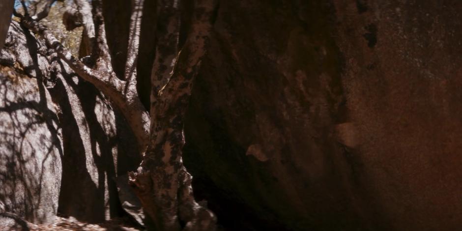 Doctor Who - Image 4