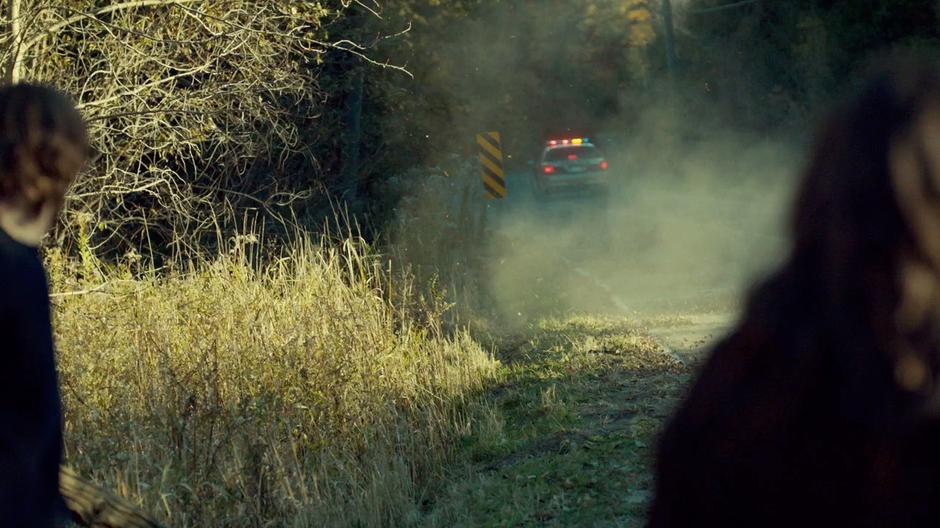 Orphan Black - Image 6