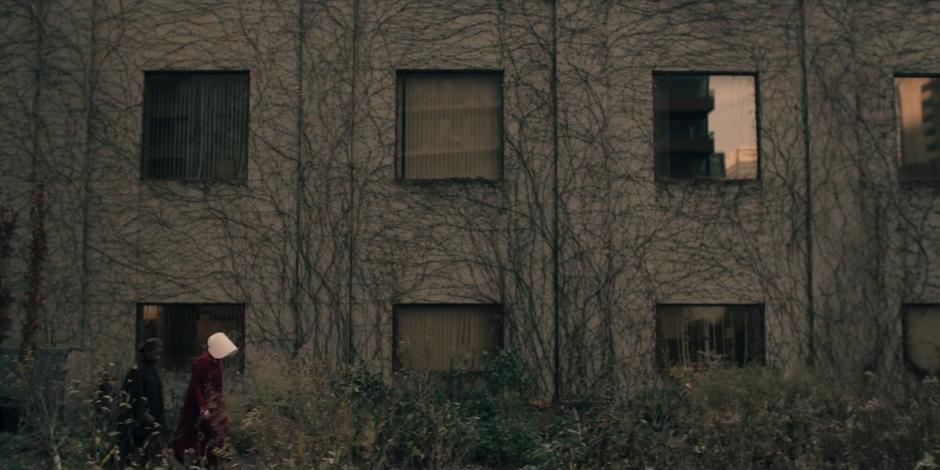 The Handmaid's Tale - Image 3