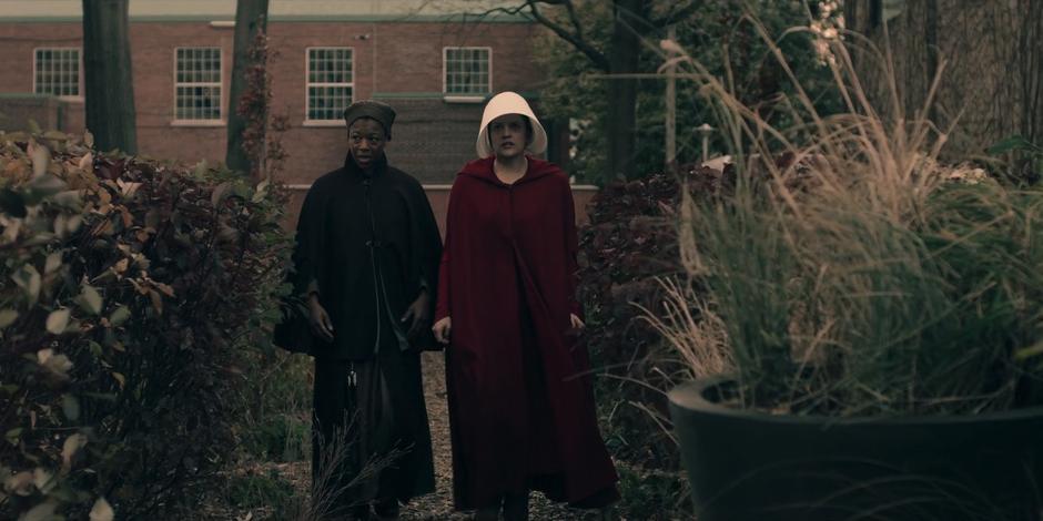 The Handmaid's Tale - Image 4