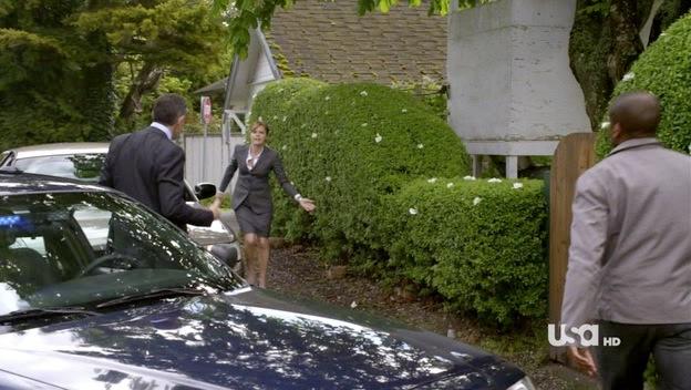 Psych - Image 3