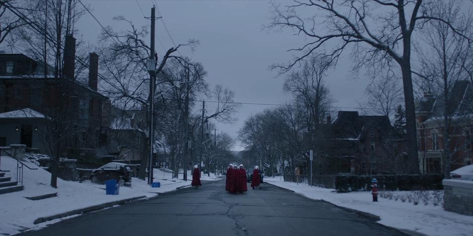 The Handmaid's Tale - Image 3